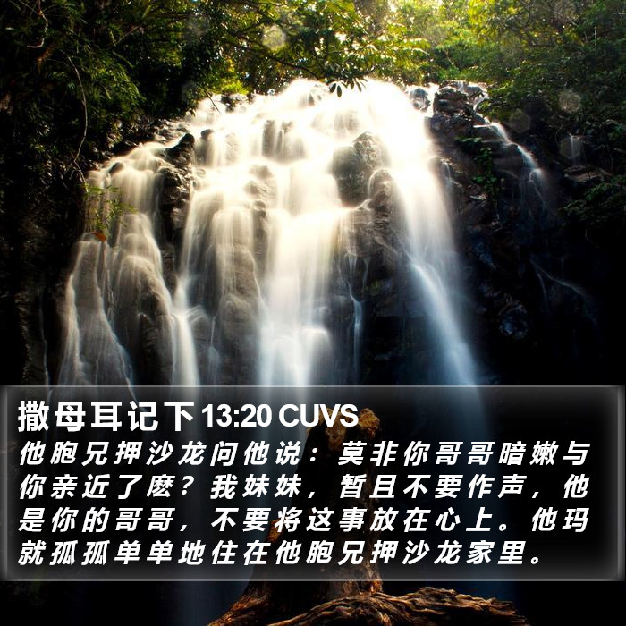 撒 母 耳 记 下 13:20 CUVS Bible Study