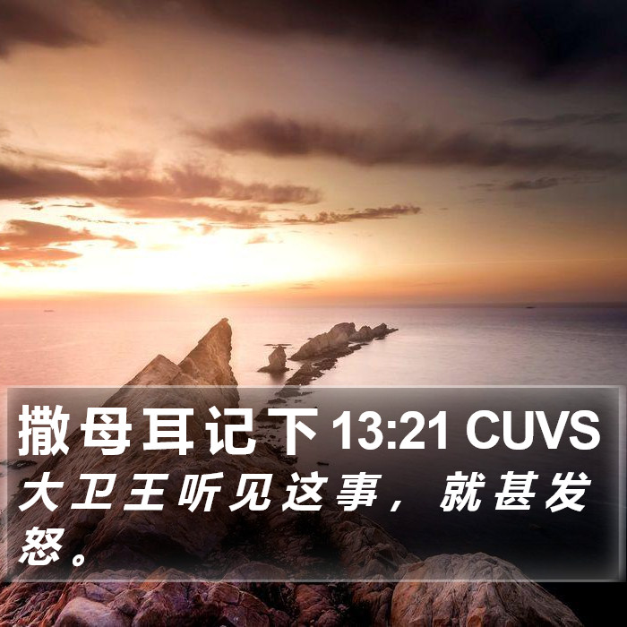 撒 母 耳 记 下 13:21 CUVS Bible Study