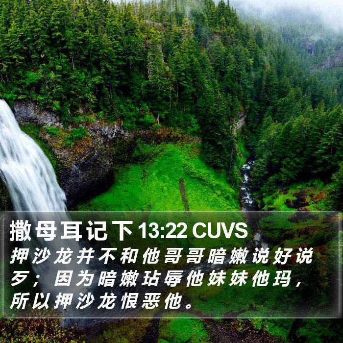 撒 母 耳 记 下 13:22 CUVS Bible Study