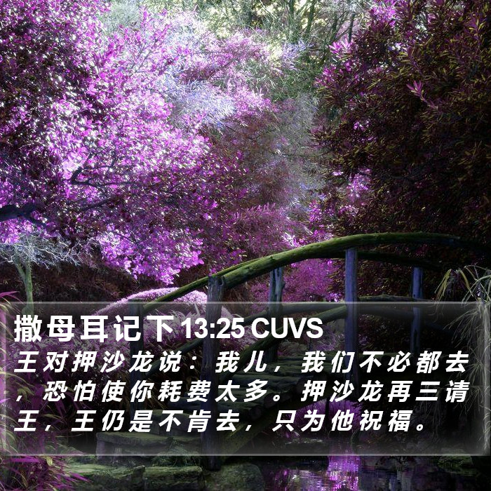 撒 母 耳 记 下 13:25 CUVS Bible Study