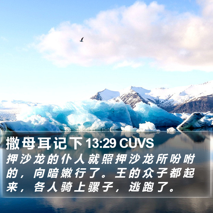 撒 母 耳 记 下 13:29 CUVS Bible Study