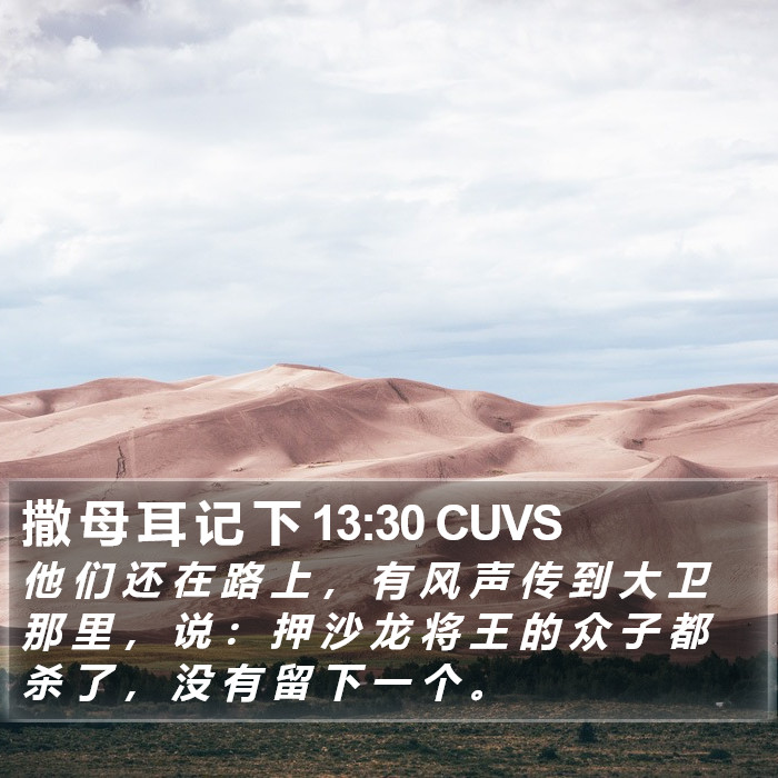 撒 母 耳 记 下 13:30 CUVS Bible Study