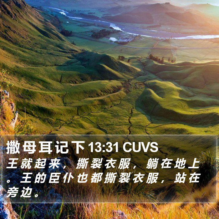 撒 母 耳 记 下 13:31 CUVS Bible Study