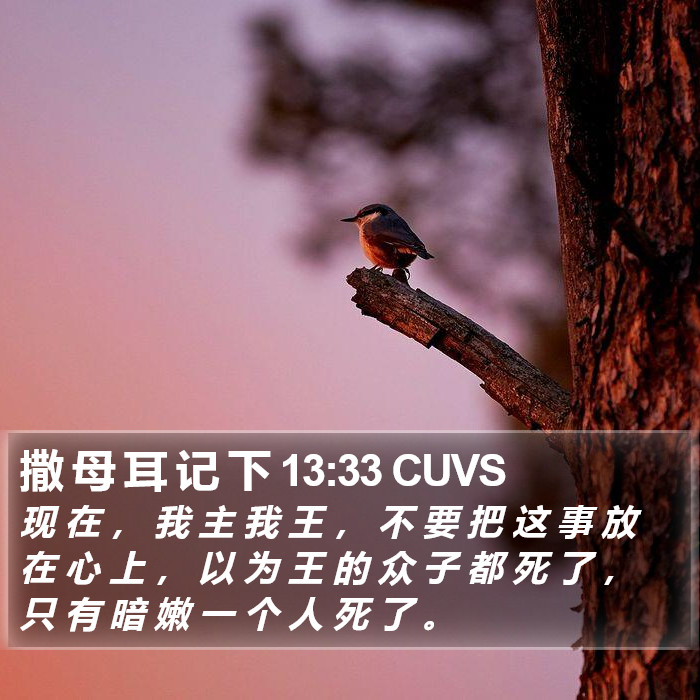 撒 母 耳 记 下 13:33 CUVS Bible Study