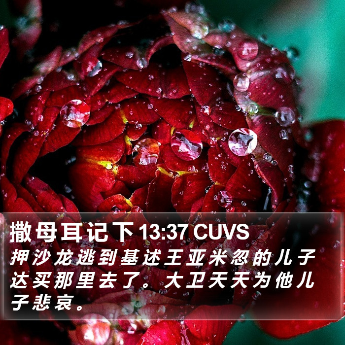 撒 母 耳 记 下 13:37 CUVS Bible Study