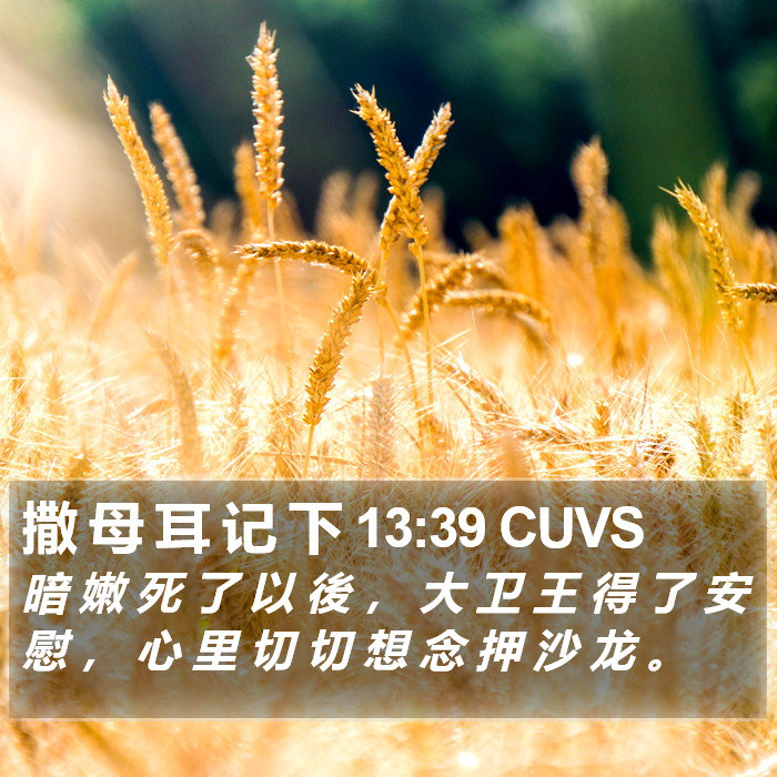 撒 母 耳 记 下 13:39 CUVS Bible Study