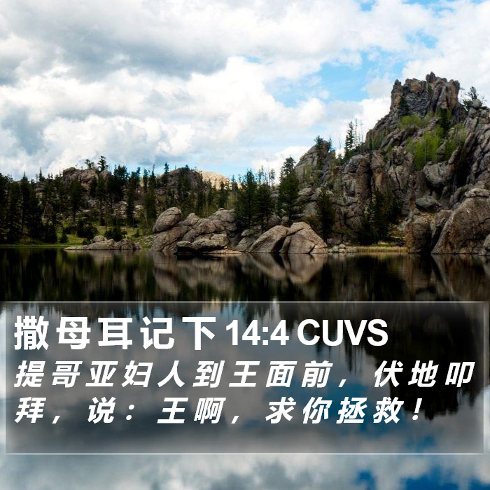 撒 母 耳 记 下 14:4 CUVS Bible Study