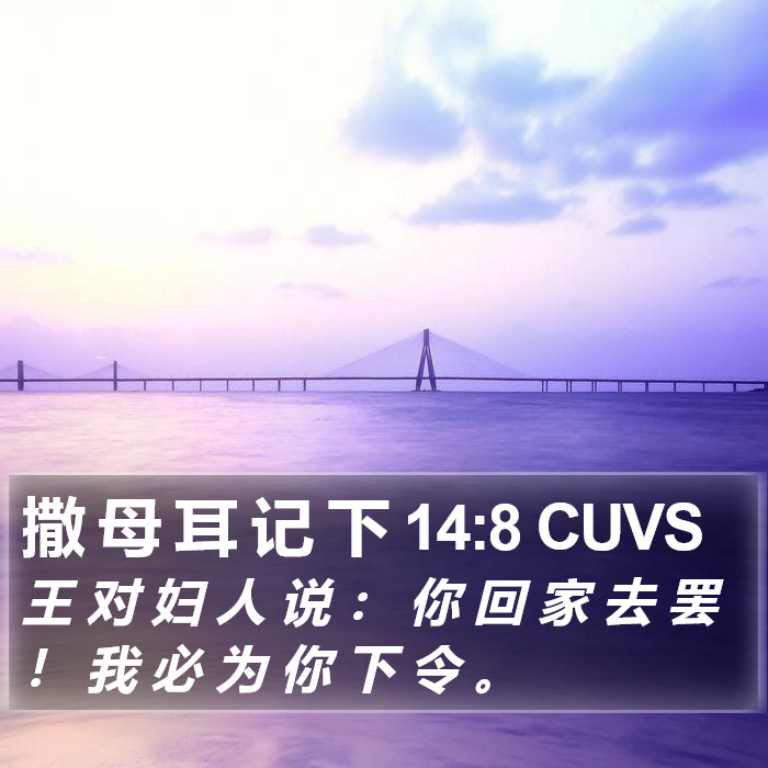 撒 母 耳 记 下 14:8 CUVS Bible Study