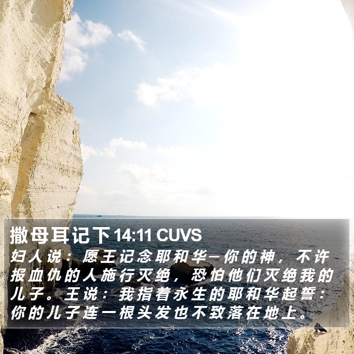 撒 母 耳 记 下 14:11 CUVS Bible Study