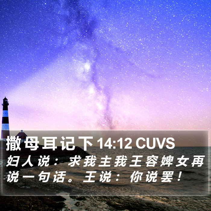 撒 母 耳 记 下 14:12 CUVS Bible Study