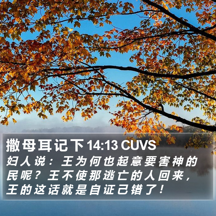 撒 母 耳 记 下 14:13 CUVS Bible Study