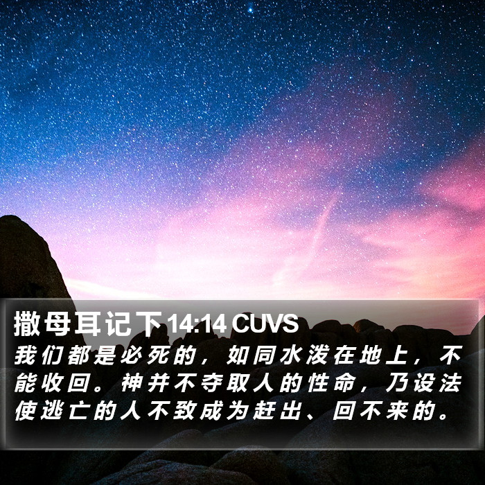 撒 母 耳 记 下 14:14 CUVS Bible Study