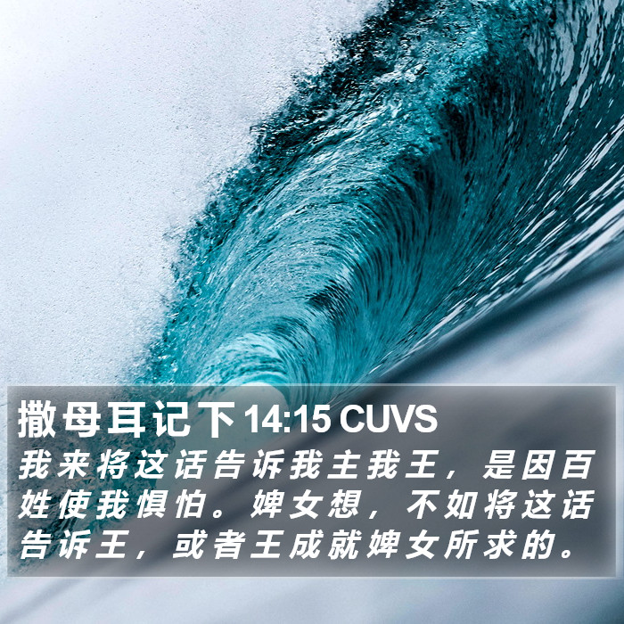 撒 母 耳 记 下 14:15 CUVS Bible Study