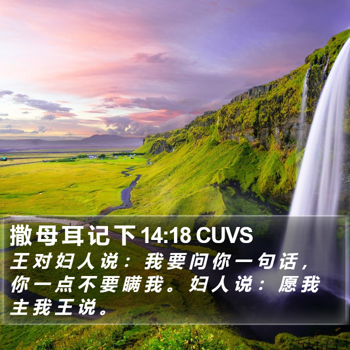 撒 母 耳 记 下 14:18 CUVS Bible Study