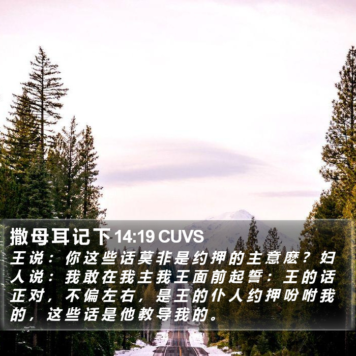 撒 母 耳 记 下 14:19 CUVS Bible Study