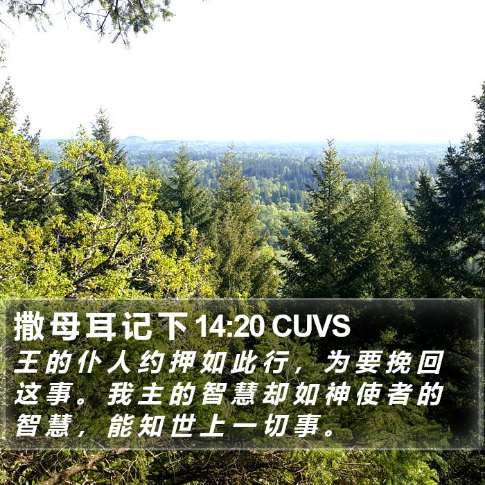 撒 母 耳 记 下 14:20 CUVS Bible Study