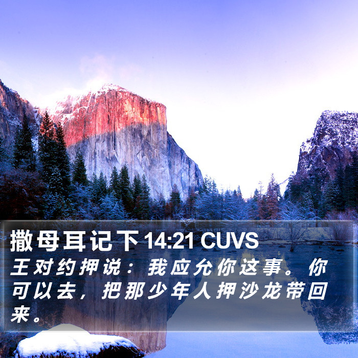 撒 母 耳 记 下 14:21 CUVS Bible Study