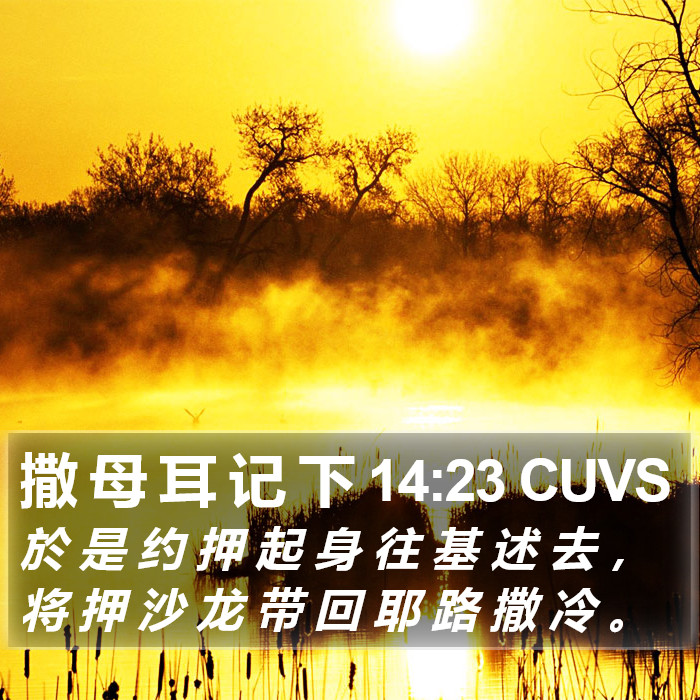 撒 母 耳 记 下 14:23 CUVS Bible Study