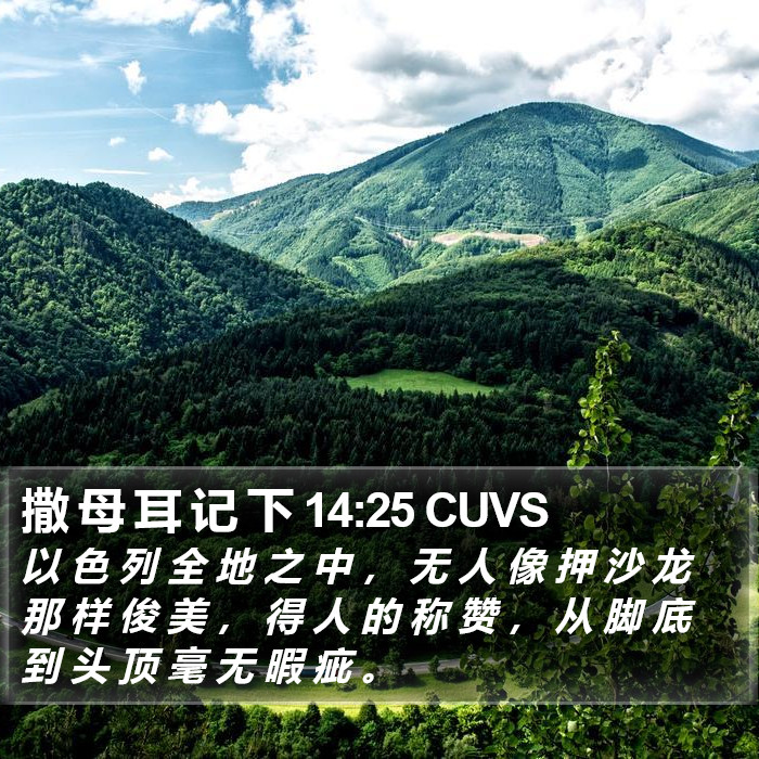 撒 母 耳 记 下 14:25 CUVS Bible Study