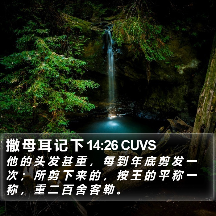 撒 母 耳 记 下 14:26 CUVS Bible Study