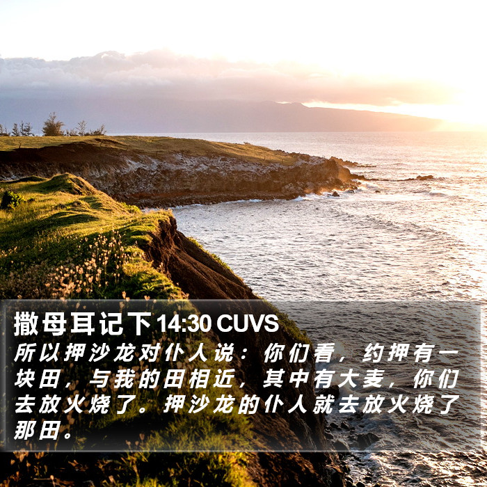 撒 母 耳 记 下 14:30 CUVS Bible Study