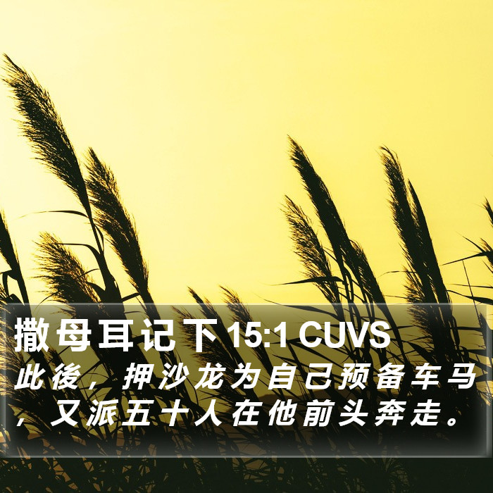 撒 母 耳 记 下 15:1 CUVS Bible Study