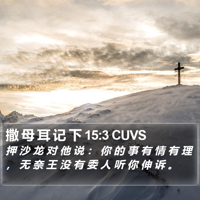 撒 母 耳 记 下 15:3 CUVS Bible Study