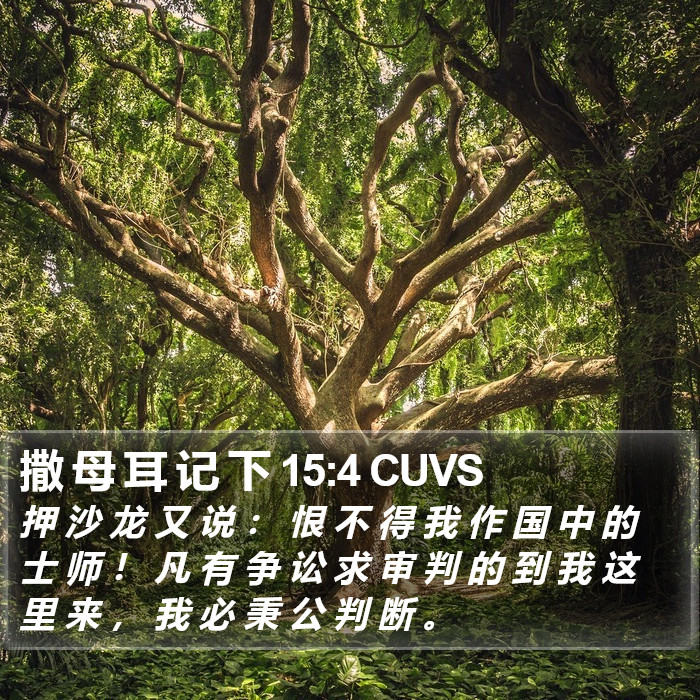 撒 母 耳 记 下 15:4 CUVS Bible Study