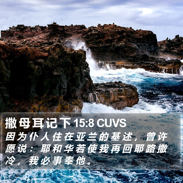 撒 母 耳 记 下 15:8 CUVS Bible Study