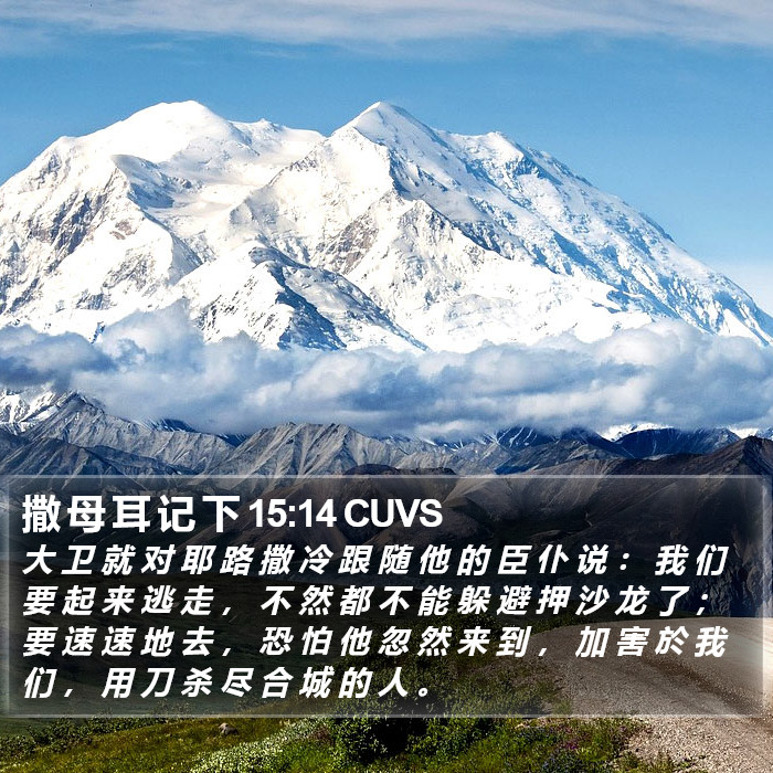 撒 母 耳 记 下 15:14 CUVS Bible Study