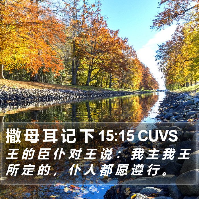 撒 母 耳 记 下 15:15 CUVS Bible Study