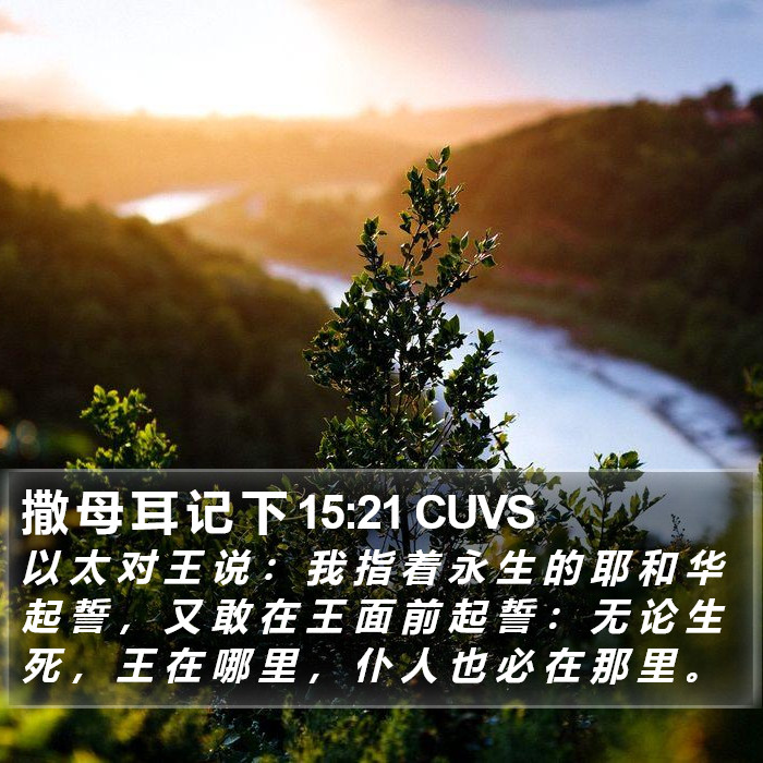 撒 母 耳 记 下 15:21 CUVS Bible Study
