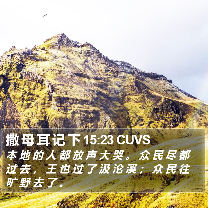 撒 母 耳 记 下 15:23 CUVS Bible Study