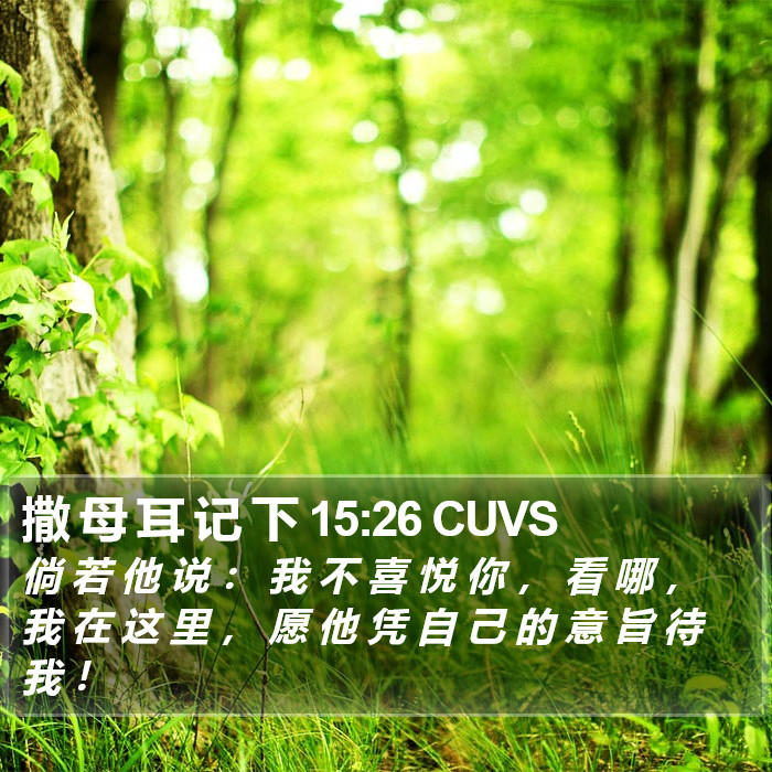 撒 母 耳 记 下 15:26 CUVS Bible Study