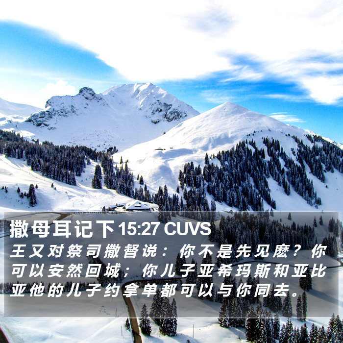 撒 母 耳 记 下 15:27 CUVS Bible Study