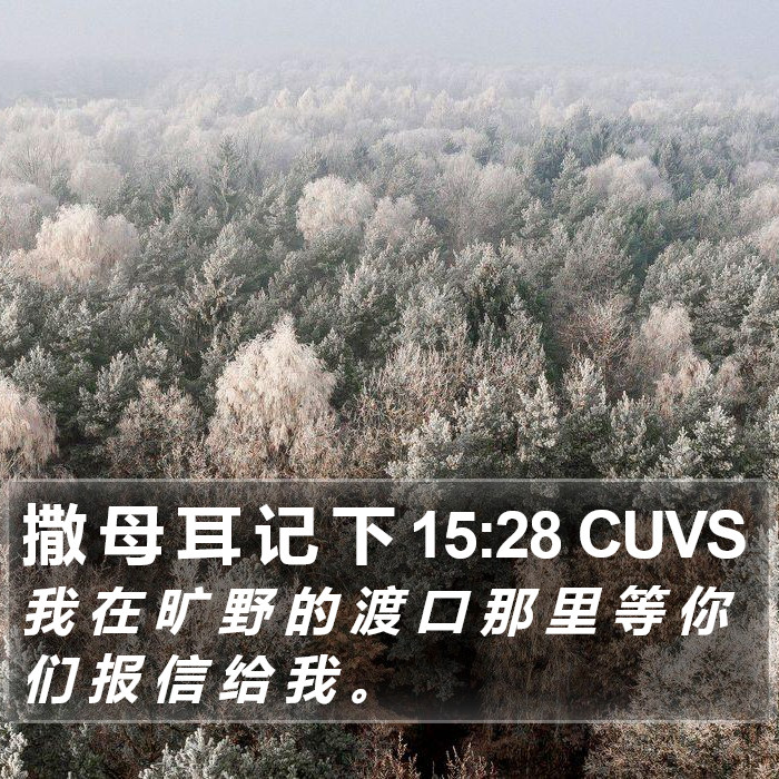 撒 母 耳 记 下 15:28 CUVS Bible Study