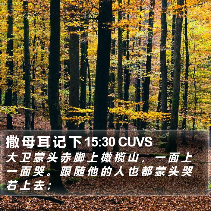 撒 母 耳 记 下 15:30 CUVS Bible Study