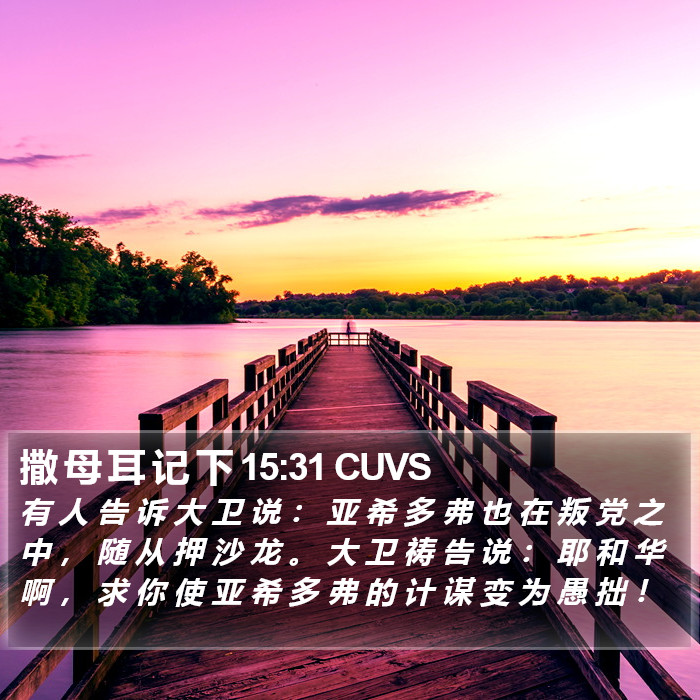 撒 母 耳 记 下 15:31 CUVS Bible Study