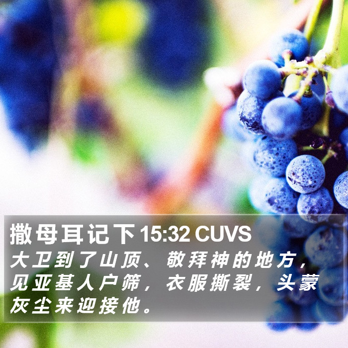 撒 母 耳 记 下 15:32 CUVS Bible Study