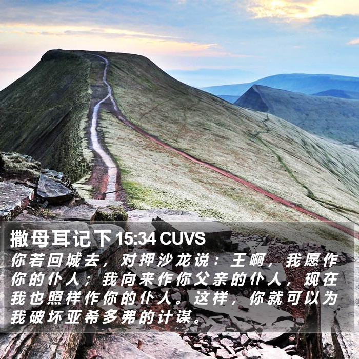 撒 母 耳 记 下 15:34 CUVS Bible Study