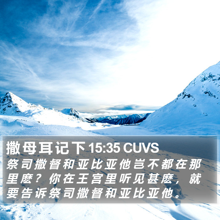 撒 母 耳 记 下 15:35 CUVS Bible Study
