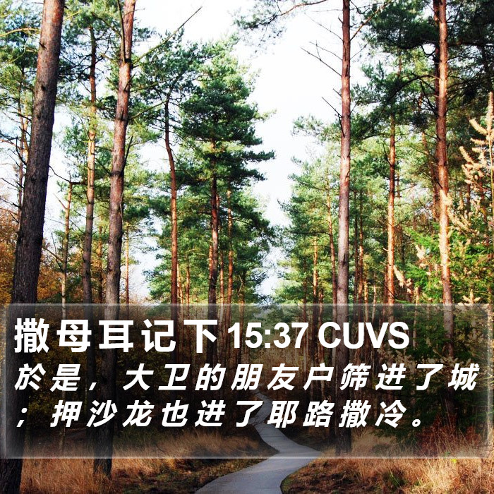撒 母 耳 记 下 15:37 CUVS Bible Study
