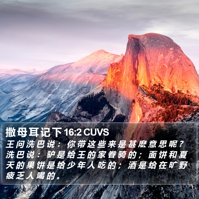 撒 母 耳 记 下 16:2 CUVS Bible Study