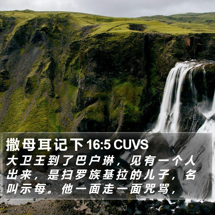 撒 母 耳 记 下 16:5 CUVS Bible Study