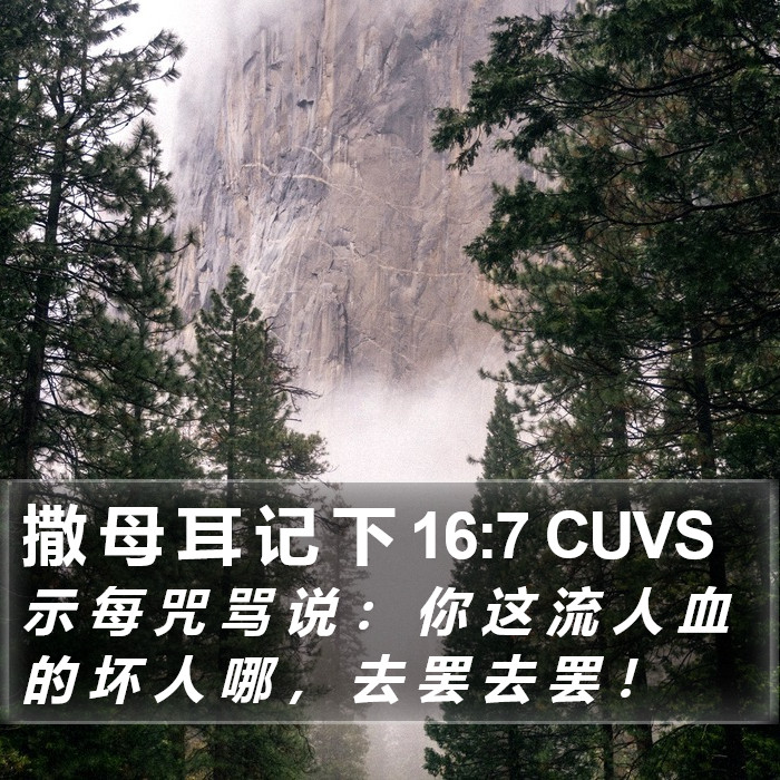 撒 母 耳 记 下 16:7 CUVS Bible Study