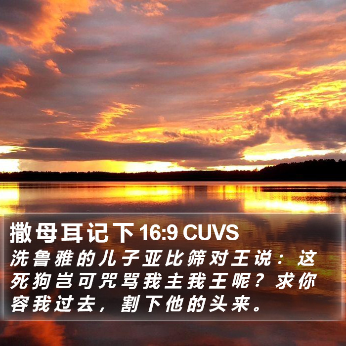 撒 母 耳 记 下 16:9 CUVS Bible Study