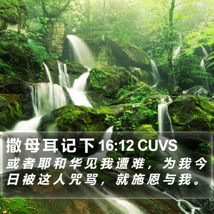 撒 母 耳 记 下 16:12 CUVS Bible Study