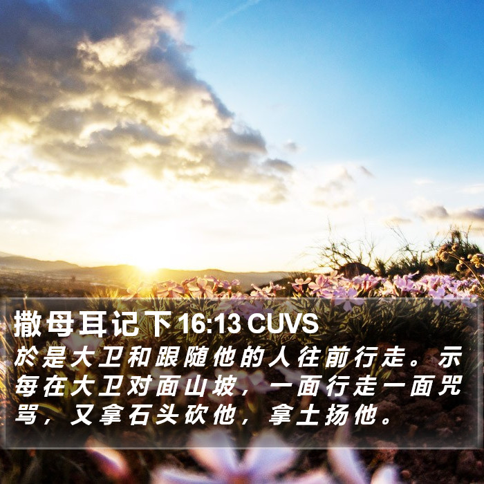 撒 母 耳 记 下 16:13 CUVS Bible Study