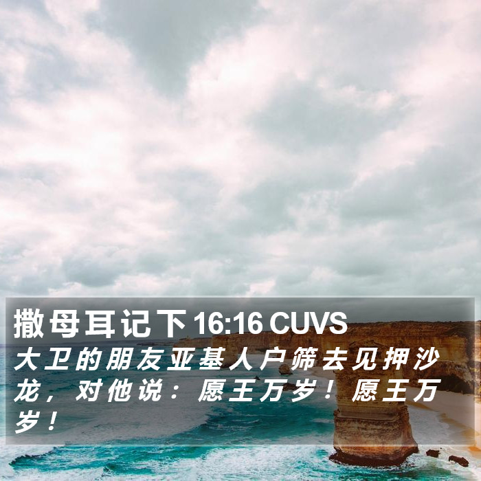 撒 母 耳 记 下 16:16 CUVS Bible Study