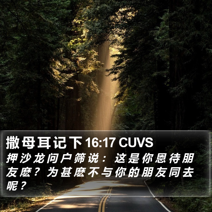 撒 母 耳 记 下 16:17 CUVS Bible Study